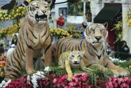 â€œEcos de Ã©xitoâ€