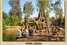 BIOPÃ€RC-OBJETIVO IMPULSAR PRESERVACION DE ESPECIES jigsaw puzzle