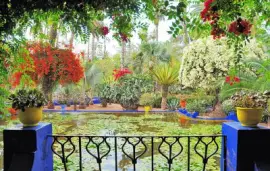 estanque jigsaw puzzle