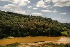 Encontro da Natureza jigsaw puzzle