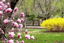 serenidad jigsaw puzzle