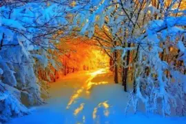 imagens jigsaw puzzle