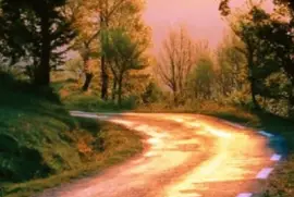 autumn-158 jigsaw puzzle