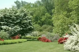 Gramado harmonioso jigsaw puzzle