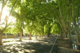 Acceso a San Rafael. Mendoza. Argentina