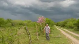 MEMO CASTELLANOS jigsaw puzzle