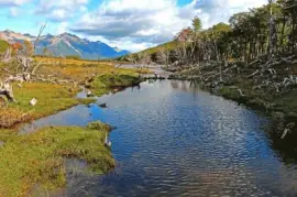 Valle de los Lobos. Tierra del Fuego. Argentina jigsaw puzzle