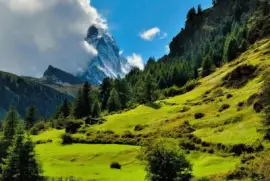 imagens jigsaw puzzle