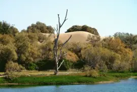 maspalomas jigsaw puzzle