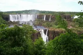 En la Provincia de Misiones. Argentina jigsaw puzzle