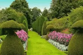 imagens jigsaw puzzle