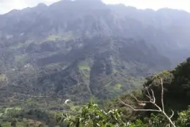 BARRANCA GRANDE jigsaw puzzle