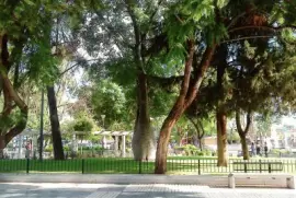 En la Ciudad de La Rioja. Argentina jigsaw puzzle