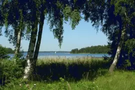 Archipelago medow jigsaw puzzle