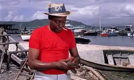 Cine 203 jigsaw puzzle