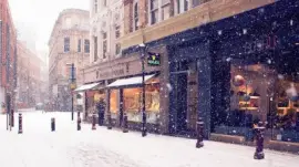 פאזל של snowy day