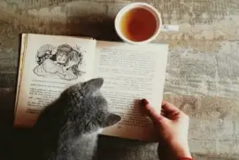 book, tea, kitty