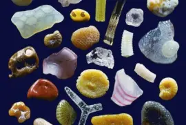 granos de arena  (microscopio)