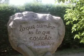 Aquello que siembres...