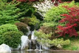 naturaleza jigsaw puzzle