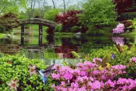 jardÃ­n jigsaw puzzle