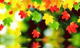 otoÃ±o jigsaw puzzle