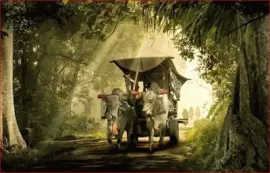 CARRETA DE BUEYES jigsaw puzzle