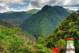 Cerveza Magna hecha en Puerto Rico jigsaw puzzle