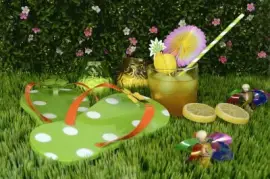 Interesting Flip Flop Garden Still Life jigsaw puzzle