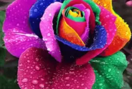 colors jigsaw puzzle