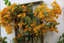 imagens jigsaw puzzle