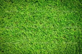 luigui2016 jigsaw puzzle