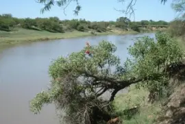 Arroyo PÃ¡jaro Blanco. Santa Fe. Argentina jigsaw puzzle