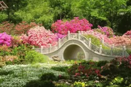 imagens jigsaw puzzle