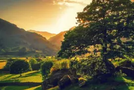 Paisaje jigsaw puzzle