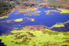 El ParanÃ¡ en la Provincia de Santa Fe. Argentina jigsaw puzzle