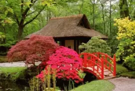 paisaje jigsaw puzzle