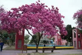 En Santiago del Estero. Argentina jigsaw puzzle