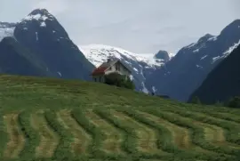 FjÃ¦rland