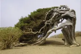 imagens jigsaw puzzle