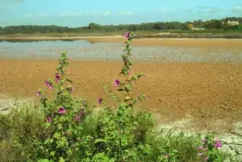 mallorca jigsaw puzzle