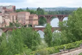 albi