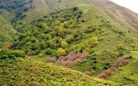 Hualinchay. TucumÃ¡n. Argentina