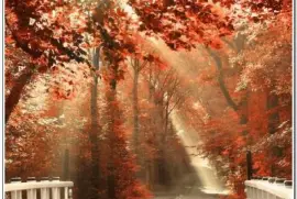 å…‰ç…§ç¾Žæ™¯