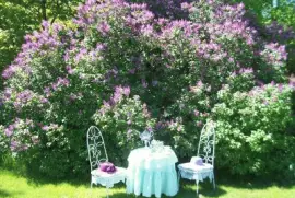 Pretty Garden Tea Setting