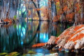 Paisaje jigsaw puzzle