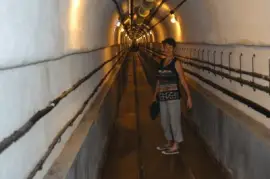 פאזל של alsace