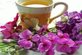 imagens jigsaw puzzle