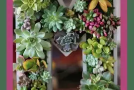 curiositÃ  jigsaw puzzle