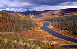 NATUREZA jigsaw puzzle